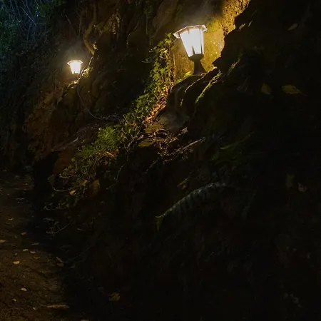 Märchenwald Altenberg Hotel Odenthal